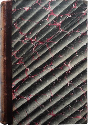 Слоон В.М. Новое жизнеописание Наполеона I... [В 2 т.]. [Т. 1-2]. СПб., 1895-1896.
